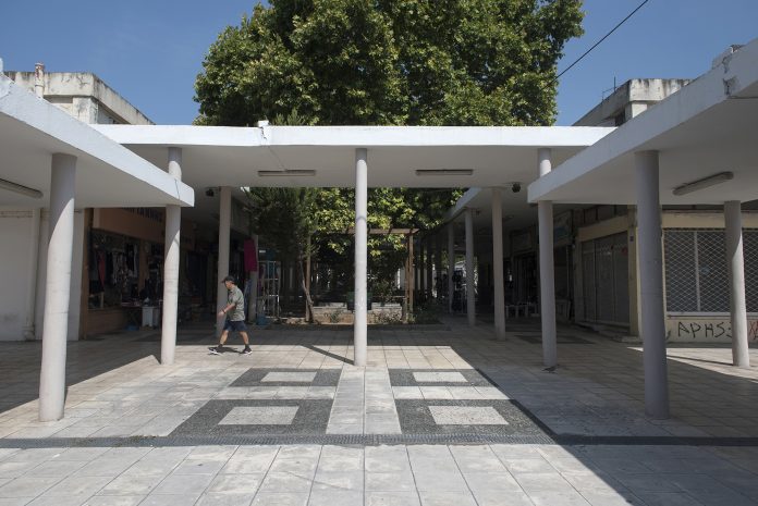 ΚΑΛΑΜΑΡΙΑ ΦΟΙΝΙΚΑΣ