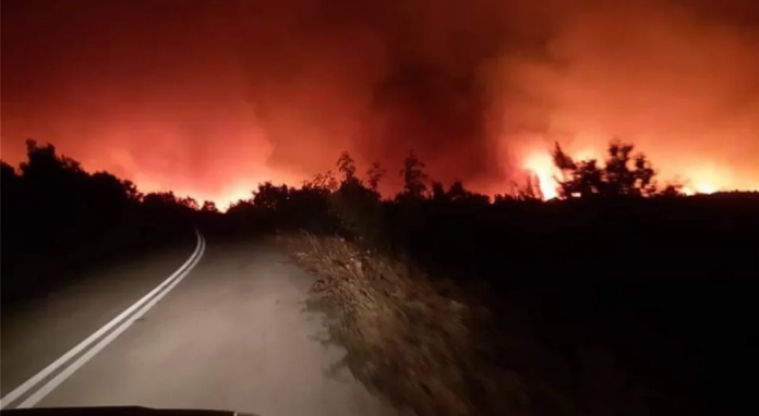 Screenshot 2023-08-20 at 09-17-23 Φωτιά στην Αλεξανδρούπολη Σε πέντε χλμ. το μέτωπο - Η 11η το τελευταίο δεκαήμερο στον Έβρο