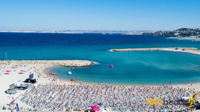 MASSALIA PARALIA